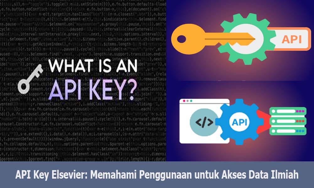 API Key Elsevier